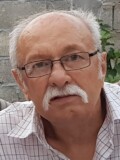 VOJISLAV (MIRKO) JANKOVIĆ